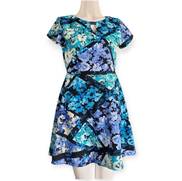 Shelby & Palmer Floral Flare Mini Dress Size 10P Blue Black Green - Picture 1 of 7